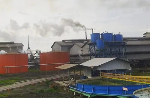 10 Pekerja Pabrik di Mutasi Jadi Tukang Muat Buah Sawit, Diharapkan Pemda PALI Panggil Manajemen PT GBS