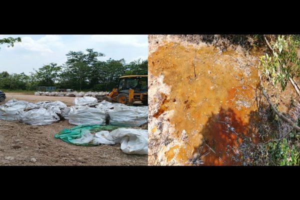 Tumpahan Minyak Milik PT Pertamina Hulu Rokan Zona 4 Adera Field, DLH di Pinta Tindak Tegas