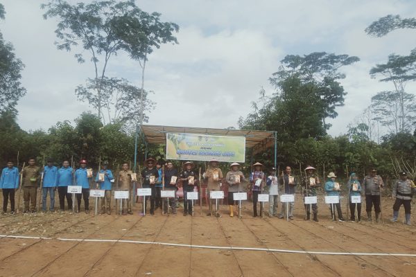 Mendukung Program Ketahanan Pangan Nasional Tahun 2025 Pemdes Suka Maju Giat Tanam Jagung